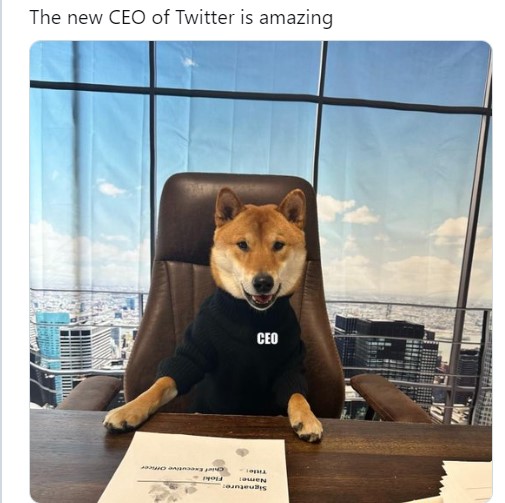 twitter new ceo