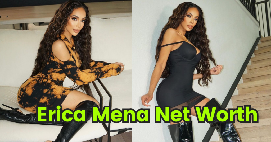 Erica Mena Net Worth Sarkarijindagi