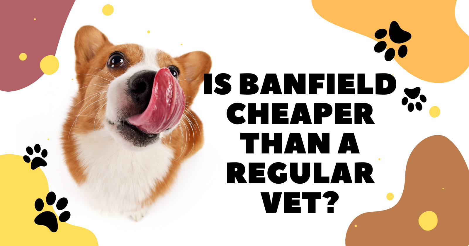 Is Banfield cheaper than a regular vet